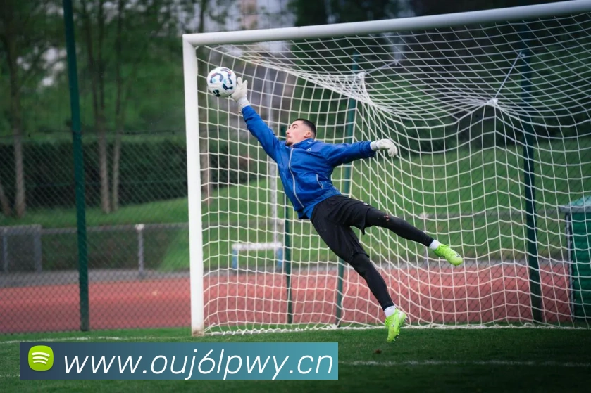 星空官网登陆入口服务体系